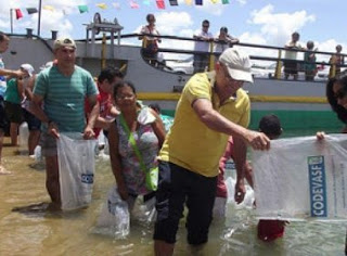 Mais 1 milhão de peixes de espécies nativas são liberados no São Francisco